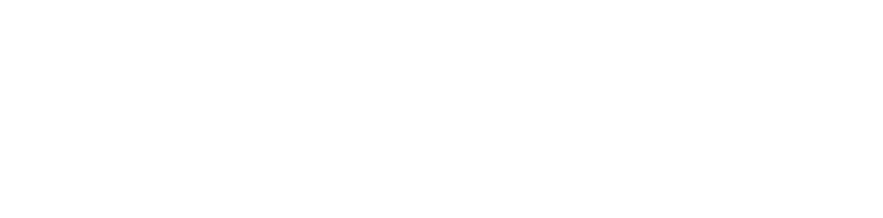 Logo von Next Media
